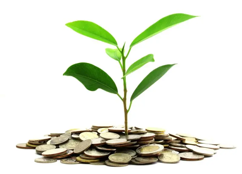 Инвестиции SKF в сохранение экологии | Свежие новости в Калининграде